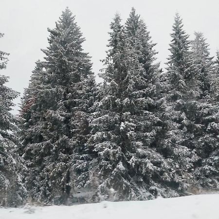Apartmani Sorak Kopaonik, Studio Apartman A10 Exteriér fotografie